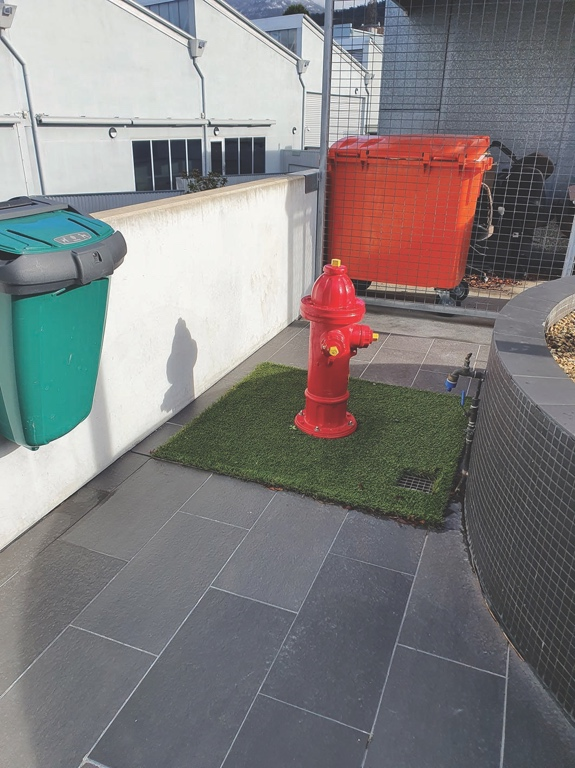 Facility for guide dogs and support dogs at TASCAT, including water