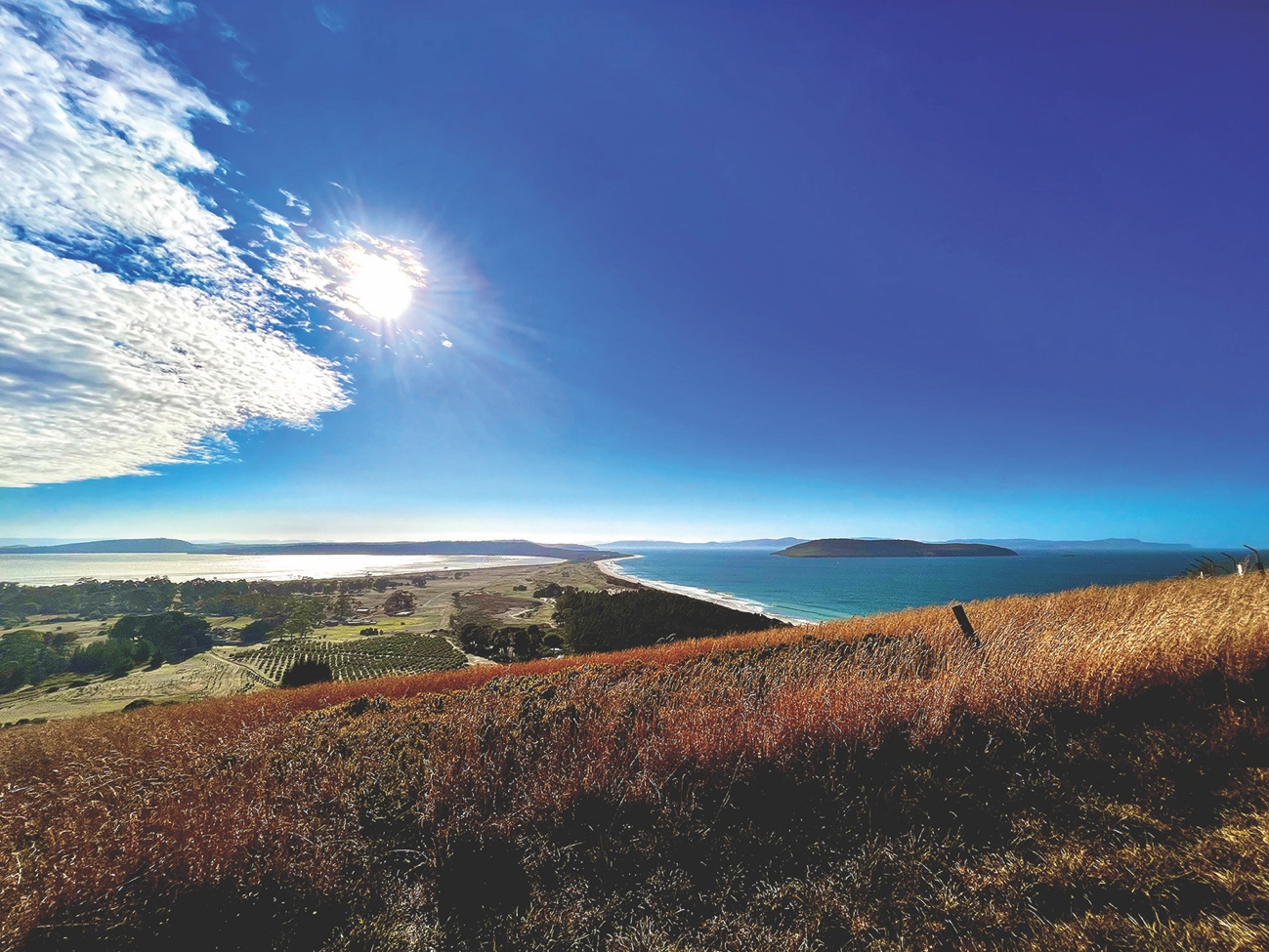 View over South Arm on a sunny day, from a hill covered in yellow-red grass, with green paddocks below, surrounded by the ocean with an island to the right.